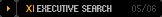 XI Executive Search